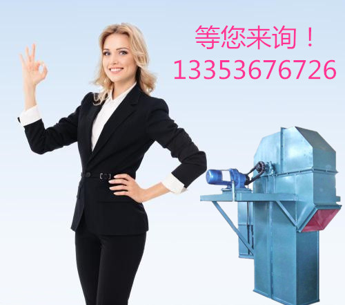 奧創(chuàng)環(huán)鏈斗式提升機等您來詢 奧創(chuàng)環(huán)鏈斗式提升機等您來詢